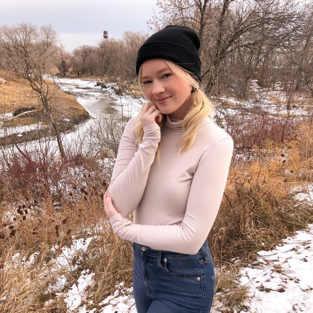 aritzia turtleneck